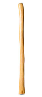 Medium Size Natural Finish Didgeridoo (TW1629)